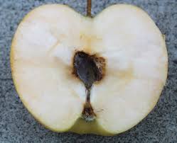 恒达代理招商网 防治苹