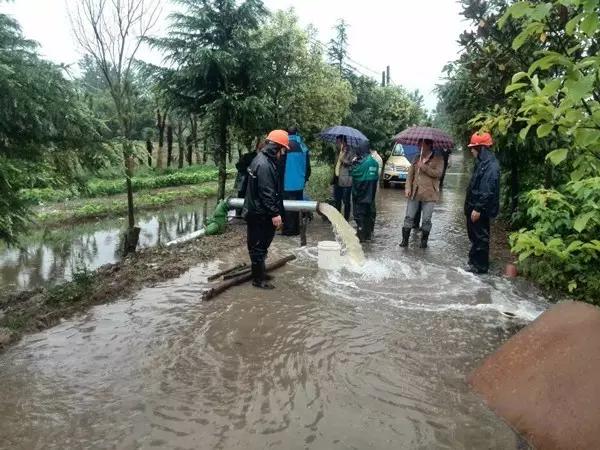 登录恒达平台网址 暴雨过后的