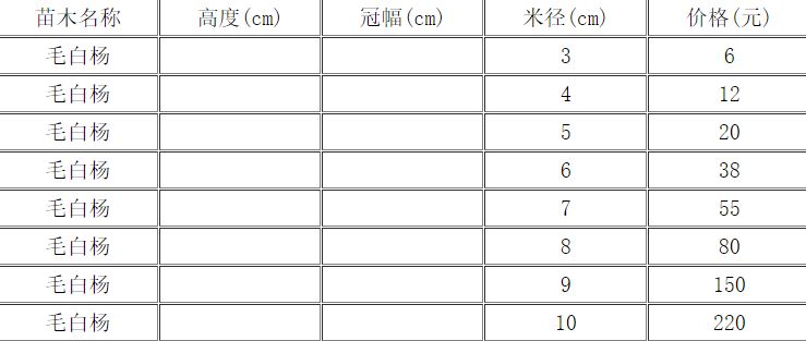 恒达招商 天津毛白杨在