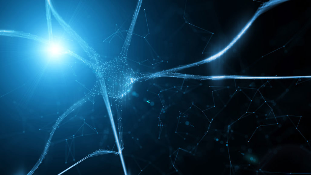 恒达登录网址 来自大脑外部的