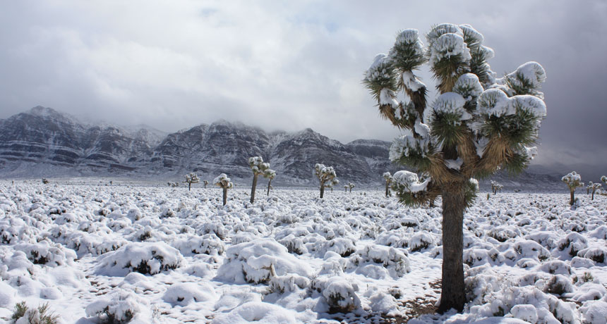 恒达登陆 撇开政府停摆不谈
