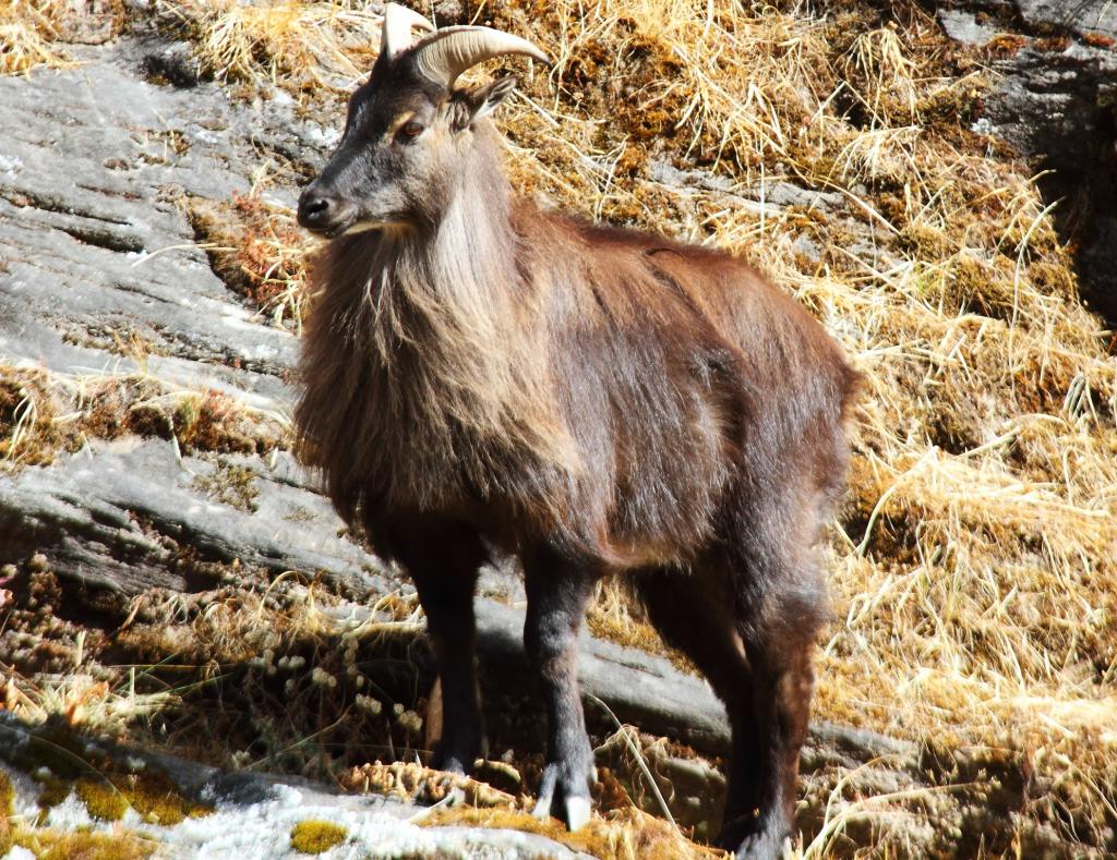 恒达娱乐总代理 全球生态观察:本周重大生态事件