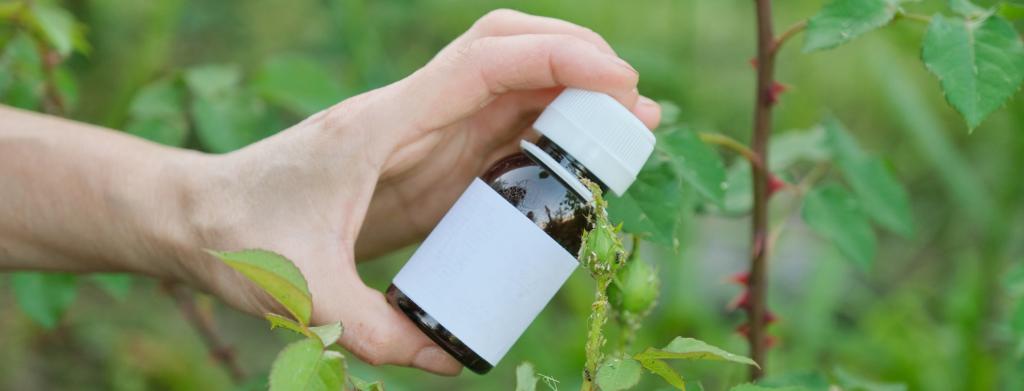 恒达娱乐总代理 非洲中小型企业在粮食和农业政策辩论中被