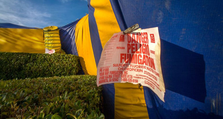 恒达线路 美国仍在使用许多其他国家禁用的农药