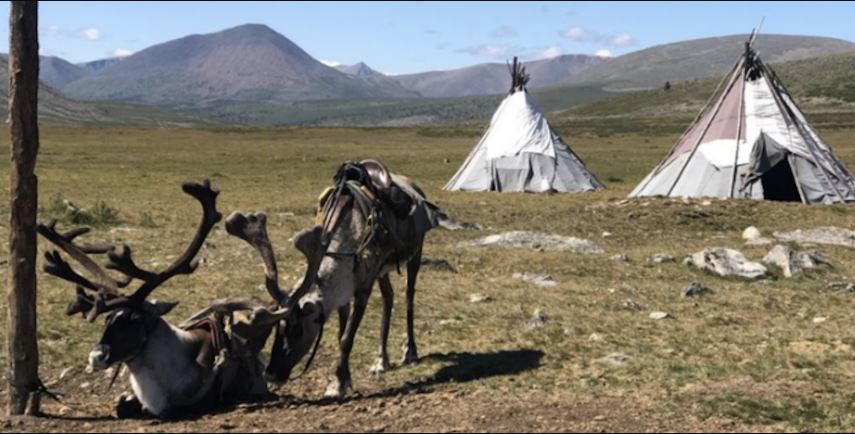 恒达登录连接 融化的冰