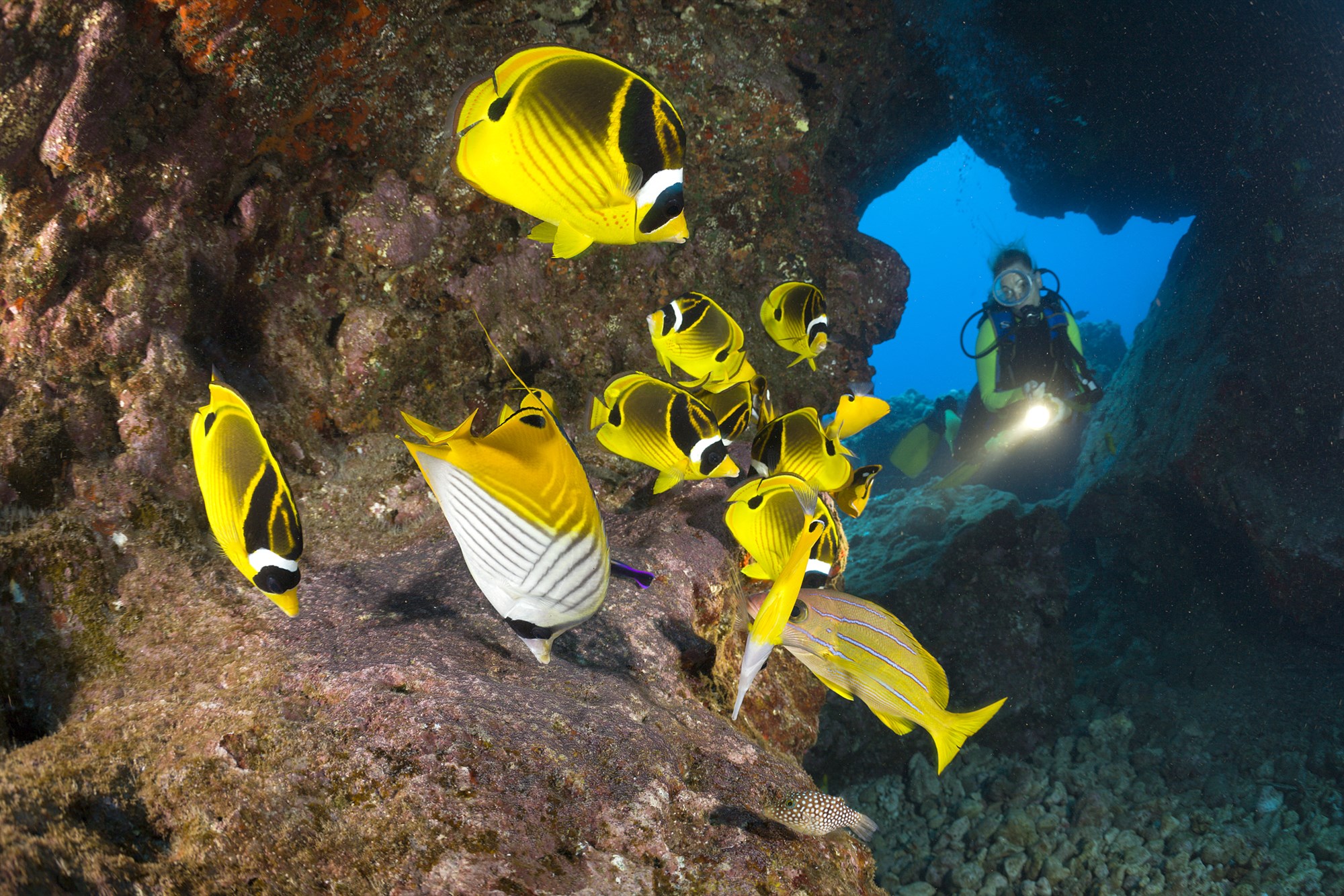 恒达登陆 法官们听取了关于《清洁水法》摊牌的辩论