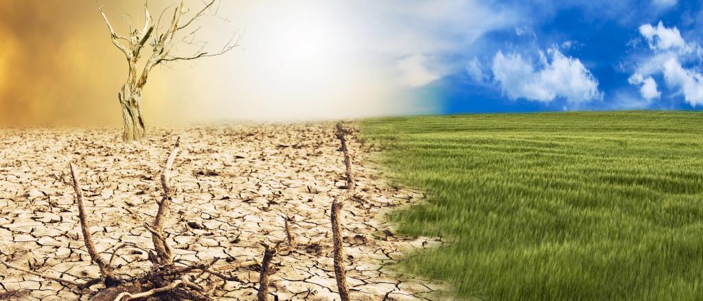 恒达娱乐总代理 最不发达国家的新建议