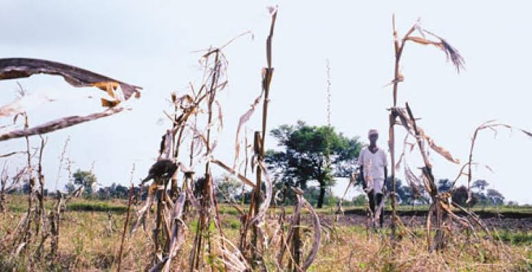 恒达娱乐总代理 对基本的最后通牒