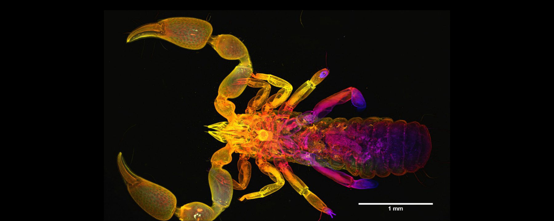 恒达登录连接 当日图像:x光透视