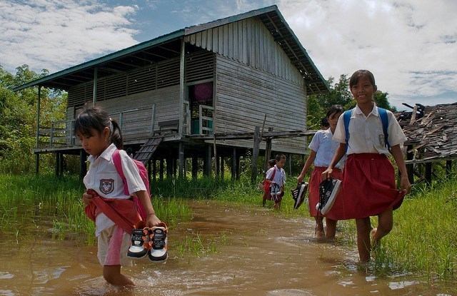 恒达代理新的研究试图评估森林在气候适应中的作用